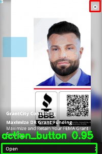 Detected image