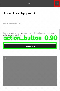 Detected image