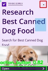 Detected image