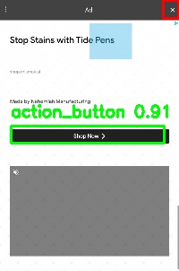 Detected image