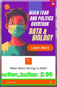 Detected image