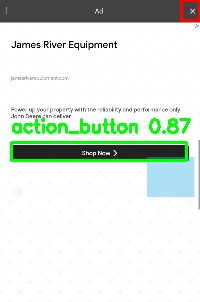 Detected image