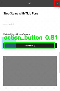 Detected image
