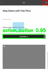 Detected image