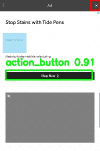 Detected image