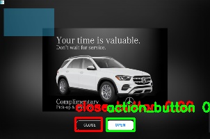 Detected image