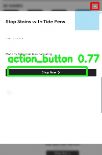 Detected image