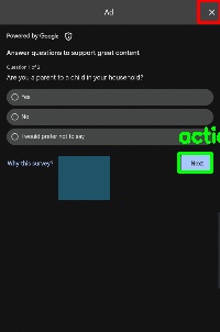 Detected image