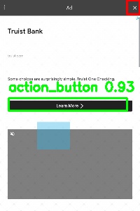 Detected image
