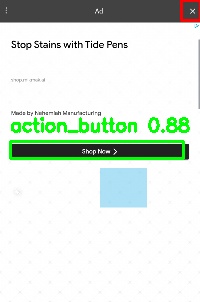 Detected image