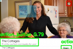 Detected image
