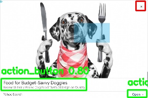 Detected image