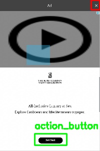 Detected image