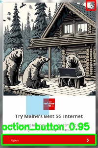 Detected image