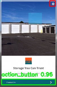 Detected image