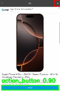 Detected image