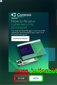 Detected image
