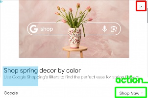 Detected image