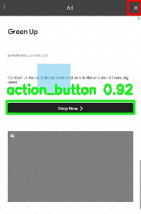 Detected image