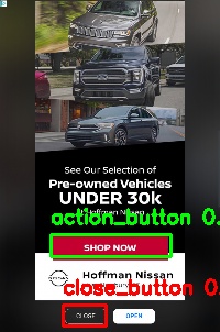 Detected image