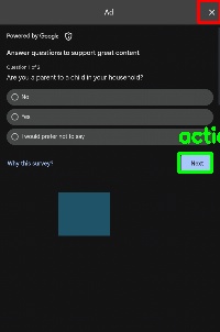 Detected image