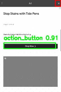 Detected image