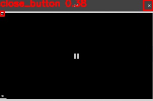 Detected image