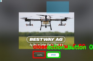 Detected image