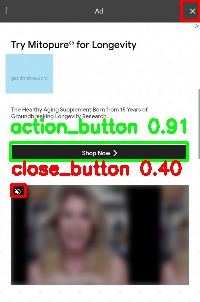 Detected image