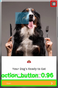 Detected image