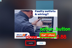 Detected image