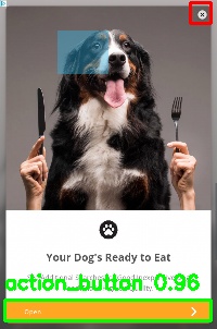 Detected image