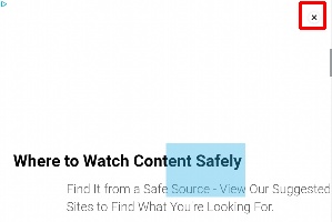 Detected image