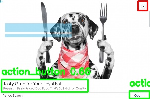Detected image