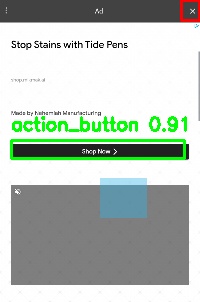Detected image