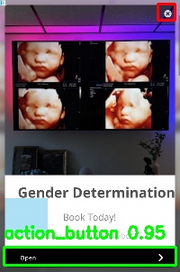 Detected image