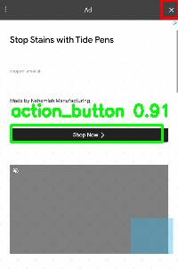 Detected image