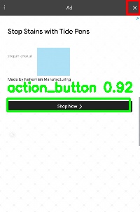 Detected image