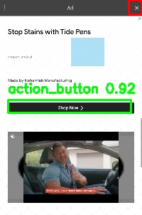 Detected image