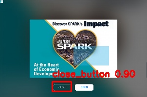 Detected image
