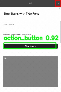 Detected image