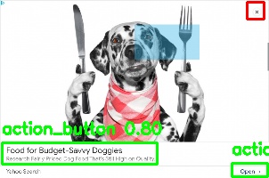 Detected image