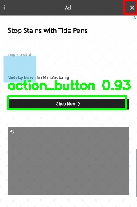 Detected image
