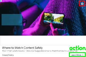 Detected image