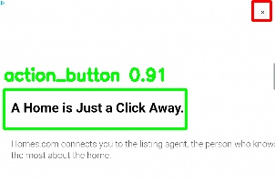 Detected image