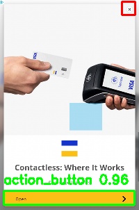 Detected image