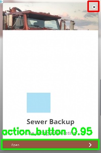 Detected image
