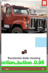 Detected image