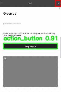 Detected image