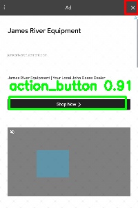 Detected image
